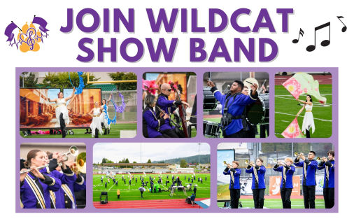 OHHS Wildcat Show Band